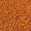 MIYUKI Delica Beads SEED-X0054-DB0681-3