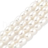 Natural Cultured Freshwater Pearl Beads Strands PEAR-P062-01F-2