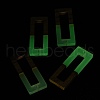 Luminous Glow in the Dark Wood & Resin Pendant WOOD-H104-18-2