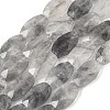 Natural Cloudy Quartz Beads Strands G-F790-C01-01-2