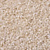MIYUKI Delica Beads SEED-J020-DB1874-3