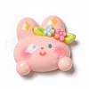 Cartoon Opaque Resin Cabochons RESI-C030-02E-1