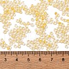 Glass Cylinder Beads SEED-L011-11B-08-4