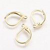 304 Stainless Steel Leverback Earring Findings STAS-F041-48-1