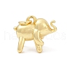 Brass Pendants KK-U062-28G-1