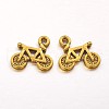 Tibetan Style Alloy Pendants GLF9048Y-NF-2