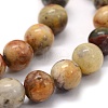 Natural Crazy Lace Agate Beads Strands G-G763-10-6mm-3