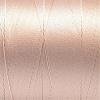 Nylon Sewing Thread NWIR-N006-01O1-0.2mm-2