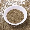 MIYUKI Delica Beads SEED-X0054-DB1163-1