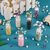 6Pcs 6 Style Natural Gemstone Chip Money Tree Display Decorations DJEW-SZ0001-07-4