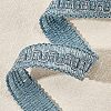 Metallic Polyester Ribbon OCOR-WH0065-14B-4
