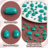   66Pcs 8 Styles Dyed Synthetic Turquoise Cabochons G-PH0002-67-4