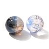Mixed Style Glass Beads GLAA-XCP0012-02O-2
