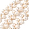 Natural Cultured Freshwater Pearl Beads Strands PEAR-I007-03F-01-2