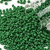 TOHO Round Seed Beads X-SEED-TR08-0047DF-1