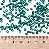 MIYUKI Round Rocailles Beads X-SEED-G008-RR2405-4