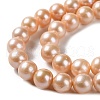 Natural Cultured Freshwater Pearl Beads Strands PEAR-E018-24-3