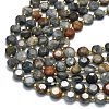 Natural Eagle Eye Stone Beads Strands G-C116-A153-01-3