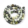 Natural Serpentine Beads Strands G-N346-04A-04-3