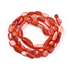 Natural White Shell Beads Strands SHEL-N036-21F-2