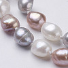 Natural Pearl Beaded Necklaces NJEW-P149-01C-3