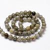 Faceted Natural Labradorite Beads Strands G-F364-17-6mm-2