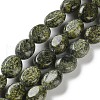 Natural Serpentine/Green Lace Stone Beads Strands G-M420-D18-01-2