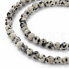 Natural Dalmatian Jasper Bead Strands G-R345-4mm-51-01-3