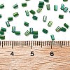 11/0 Two Cut Glass Seed Beads CSDB167B-3