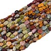 Natural Alashan Agate Beads Strands G-Q060-D19-02-2