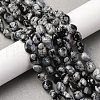 Natural Snowflake Obsidian Beads Strands G-K395-A04-02-1