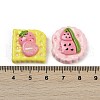 Opaque Resin Cabochons RESI-K043-16-3