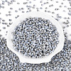 6/0 Half Plated Glass Beads SEED-N008-04E-2