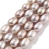 Natural Cultured Freshwater Pearl Beads Strands PEAR-P062-10E-2