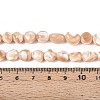 Natural Trochid Shell/Trochus Shell Beads Strands SSHEL-N040-13-4
