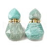 Natural Amazonite Perfume Bottle Pendants G-L623-12G-05-1