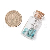 5Pcs 5 Styles Glass Wish Bottle Display Decorations PALLOY-JF03643-3