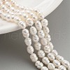 Natural Cultured Freshwater Pearl Beads Strands PEAR-P062-06C-1