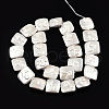 Plating Natural Freshwater Shell Beads Strands SHEL-N026-230B-2