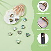 FIBLOOM 10Pcs Natural Abalone Shell/Paua Shell Beads SSHEL-FI0001-05-5