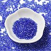 8/0 Glass Seed Beads SEED-Z001-C-E06-2
