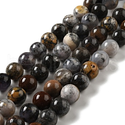 Natural Dendritic Jasper Beads Strands G-E571-31C-1