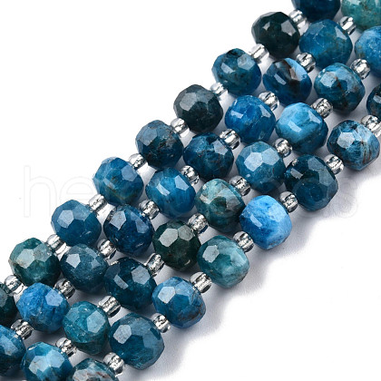 Natural Apatite Beads Strands G-N327-08D-1