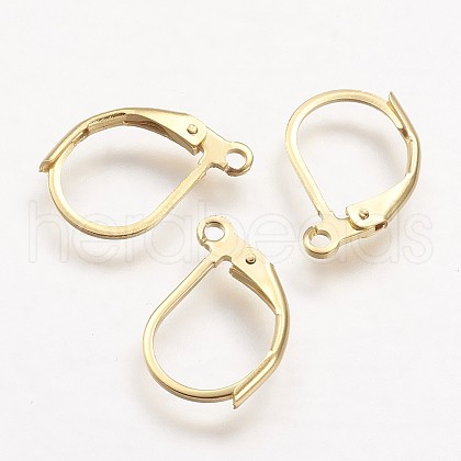 304 Stainless Steel Leverback Earring Findings STAS-F041-48-1