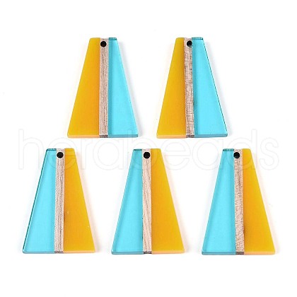 Transparent Resin & Wood Pendants RESI-T057-78-1