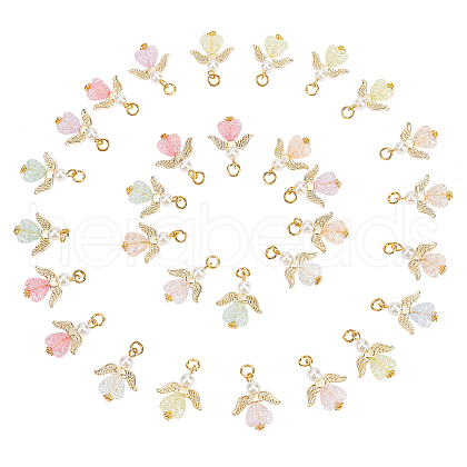   30Pcs Transparent Acrylic Pendants FIND-PH0008-05-1