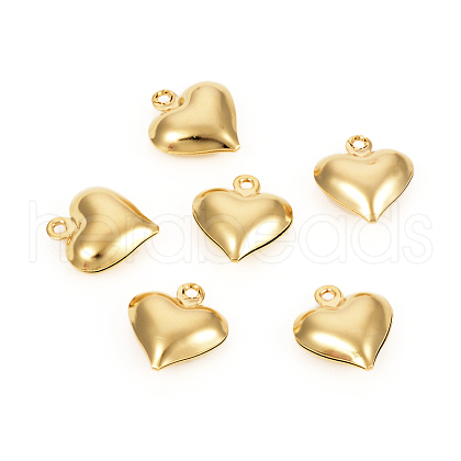 304 Stainless Steel Charms STAS-I149-02G-1