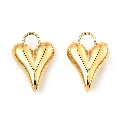 304 Stainless Steel Charms STAS-A089-26G-1