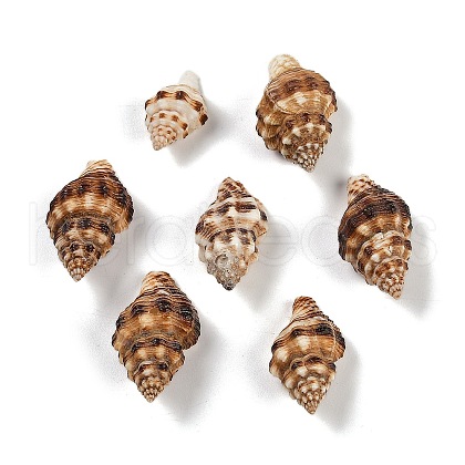 Natural Spiral Shell Pendants SHEL-K009-17C-1