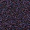 TOHO Round Seed Beads X-SEED-TR08-0704-2